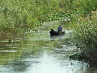 Dan zaštite prirode Srbije