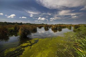 Bačko Podunavlje novi UNESKO rezervat biosfere u Srbiji