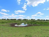 NAJAVA DOGAĐAJA – RADNI DAN ZA PRIRODU U SRP „OBEDSKA BARA“