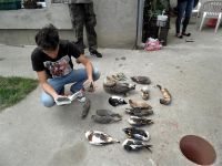 Kažnjen zbog držanja leševa strogo zaštićenih vrsta životinja