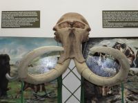 DEČIJA NEDELJA NA PRIRODNJAČKOJ IZLOŽBI PZZP