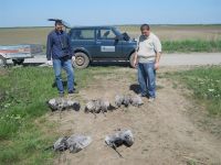 Platio 400.000 dinara zbog trovanja ždralova