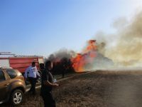 NEODGOVORNI VLASNICI NjIVA IZAZVALI ŠTETE NA ZAŠTIĆENIM PODRUČJIMA