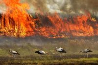 Pomoć rodama u nevoljama