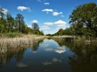59. GODINA USPEŠNOG RADA POKRAJINSKOG ZAVODA
