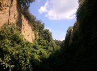 Novoproglašeni Predeo izuzetnih odlika „Ade i odseci kod Slankamena“