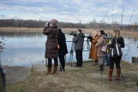 Obeležen Svetski dan vlažnih staništa, Kladovo, 5.februar 2015.