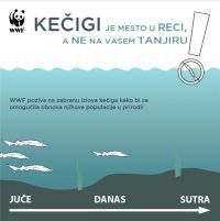 WWF traži zabranu izlova kečige na pet godina