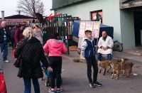 Platio kaznu za nuđenje preparata orla belorepana na prodaju