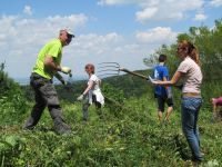Održan okrugli sto pod nazivom „KAKO ZAŠTITITI VRSTE I STANIŠNE TIPOVE U VOJVODINI“
