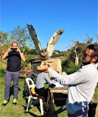 2 vetruške i 4 male ušare uspešno vraćene na njihovo prirodno stanište