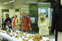 OTVORENA IZLOŽBA „ČUDESNE GLJIVE FRUŠKE GORE“