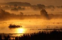 Da Mura, Drava i Dunav još bolje povežu pet zemalja