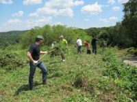 Radni dan za prirodu