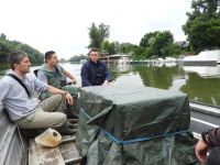 Млади орао белорепан после опоравка враћен родитељима