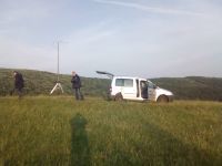 Buđenje uz pesmu ptica