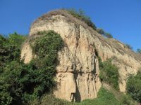 Radni dan za prirodu - SP Lesni profil kod Starog Slankamena