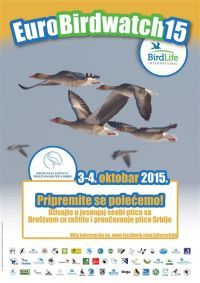 Evropski vikend posmatranja ptica – zadivljujuća seoba ptica