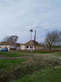 Bele rode na novom i sigurnom mestu