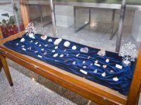 Mineraloška i petrološka zbirka