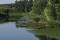 Projekat lifelineMDD