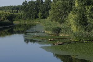 Projekat lifelineMDD