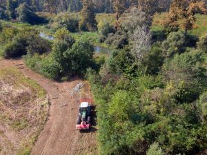Sava TIES projekat– Završna konferencija