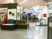 Prirodnjačka zbirka