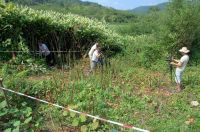 SAVA TIES - ŠTA SE DEŠAVA SA PILOT PODRUČJIMA?