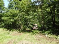 Započelo uklanjanje invazivnih biljaka na pilot područjima