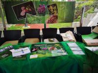 Dan zaštite životne sredine u znaku invazivnih biljaka