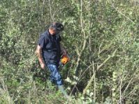 Nastavljena terenska botanička istraživanja Velikog rimskog šanca