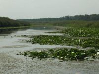 SAVA TIES – Planiranje aktivnosti na pilot područjima