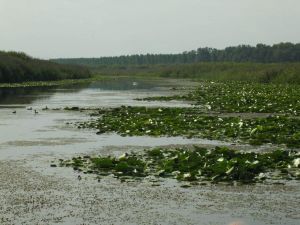 SAVA TIES – Planiranje aktivnosti na pilot područjima