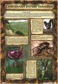 Najava - Prirodnjačka izložba na otvorenom "Zanimljivosti prirode Vojvodine"