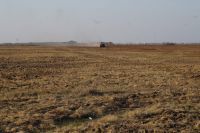 Uništio panonsku stepu, kažnjen sa 100.000 dinara