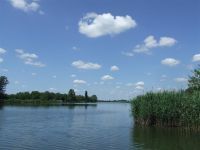 JAVNI UVID U NACRT POKRAJINSKE SKUPŠTINSKE ODLUKE O ZAŠTITI PARKA PRIRODE „STARA TISA” KOD BISERNOG OSTRVA I STUDIJU ZAŠTITE PARKA PRIRODE „STARA TISA” KOD BISERNOG OSTRVA