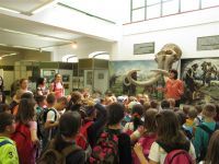 ODRŽANI DANI MUZEJA 2016. „10 DANA OD 10 DO 10“