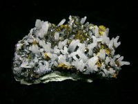 BERZA MINERALA, STENA I FOSILA