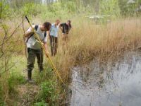 Identifikacija glavnih ugrožavajućih faktora limnofilnih vrsta riba u Dunavskom slivu