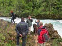 Koraci ka zajedničkom regionalnom planiranju u zaštiti prirode