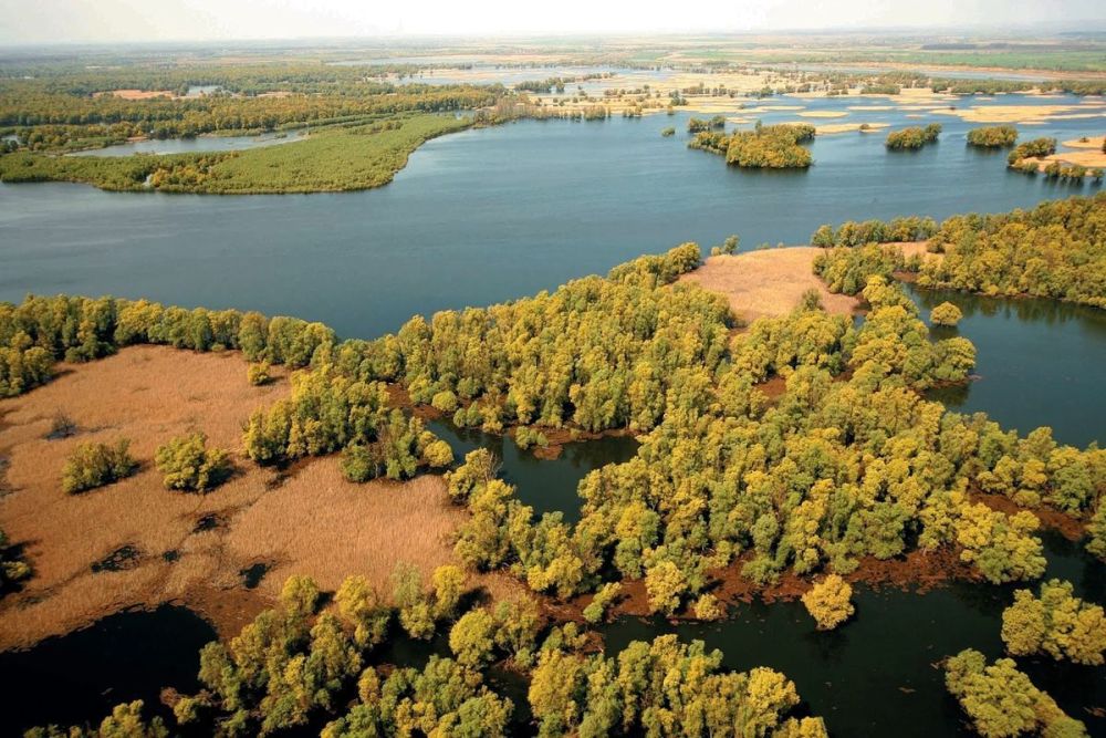 Dan evropskog Amazona 2019.
