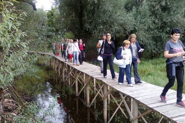 "Za čistije i zelenije škole u Vojvodini"