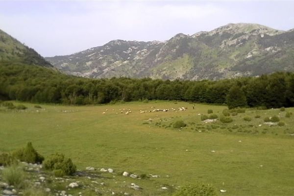 ODRŽANA REGIONALNA RADIONICA „EKOSISTEMSKE USLUGE“, ALBANIJA