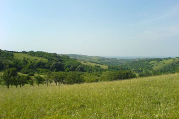 Geonasleđe Fruške gore