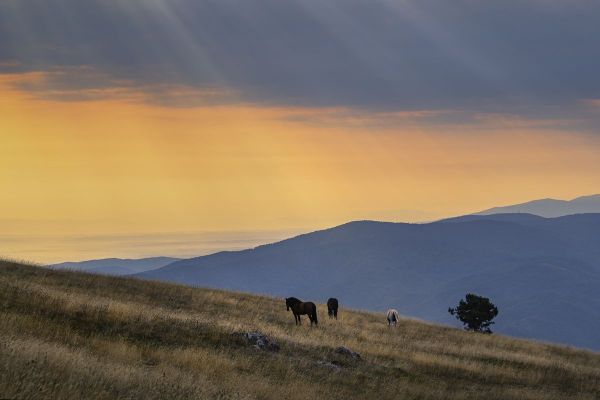 Otvorena foto izložba – Viki voli Zemlju, Srbija 2023.