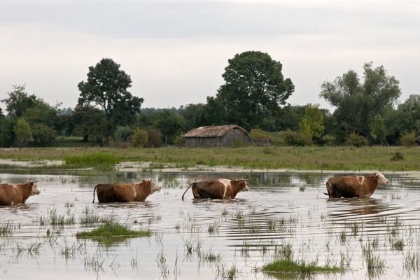 Projekat EcoWet