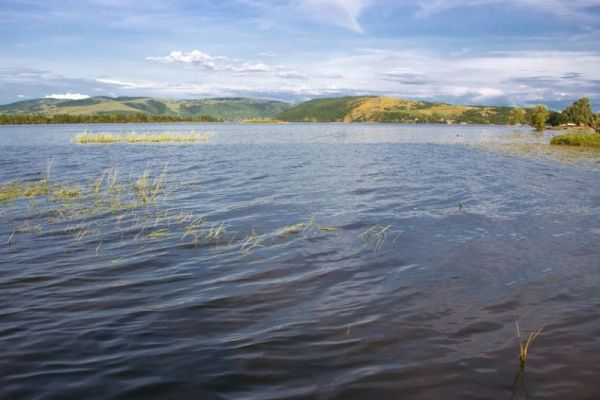Ramsarsko područje "Labudovo okno"