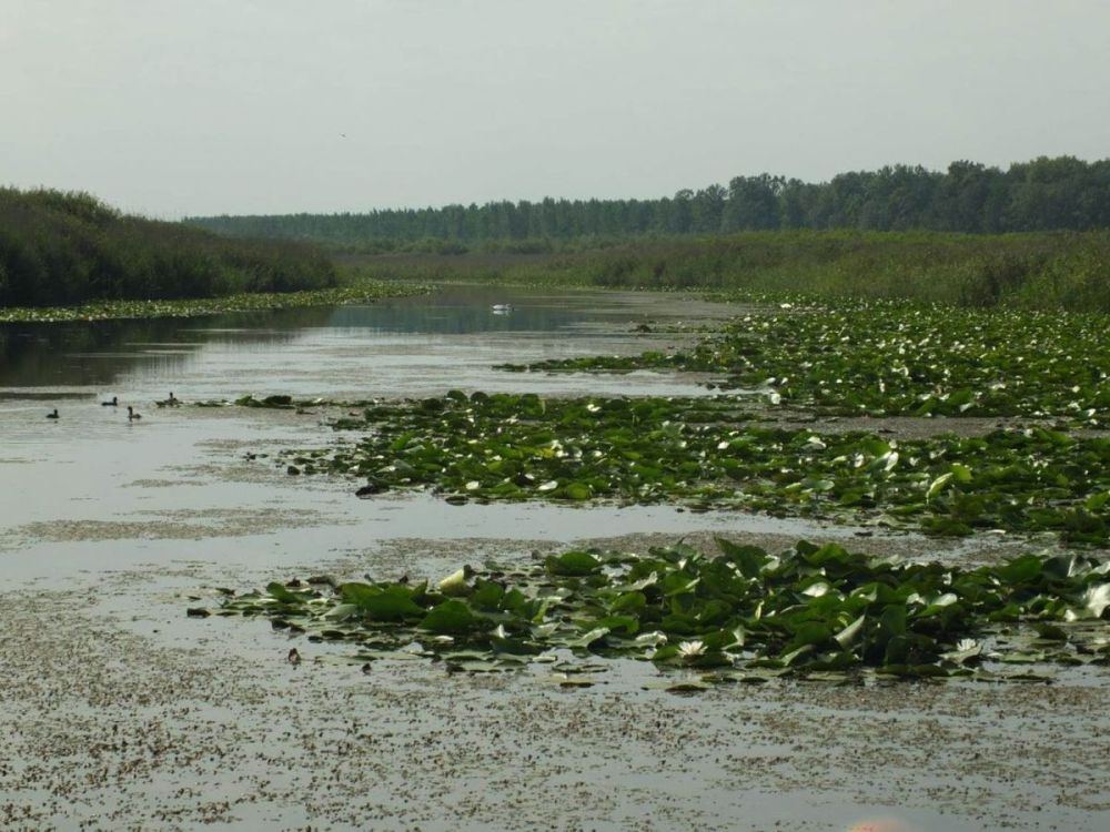 SAVA TIES – Planiranje aktivnosti na pilot područjima