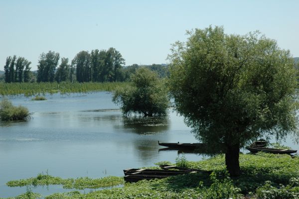 SRP "Koviljsko petrovaradinski rit"